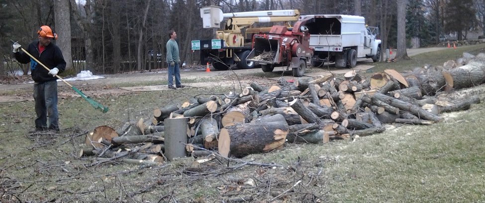 Tree Chipping Services Tree Trimming Services Tree Pruning, Farmington Hills, Michigan