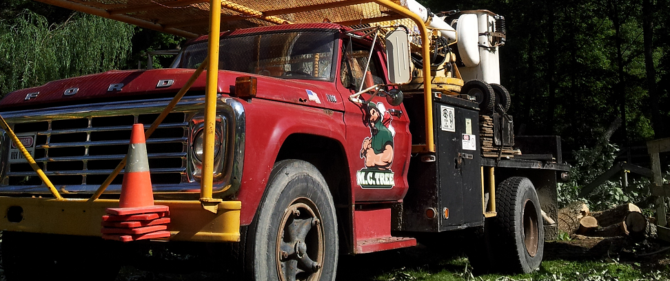 Work Trucks in Action Removing tree debris in michigan