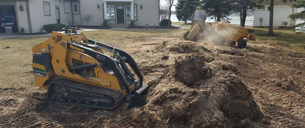 Cleaning up tree debris Removing tree debris in michigan